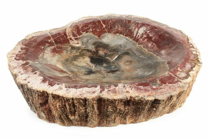 Colorful Polished Petrified Wood Dish - Madagascar #241685